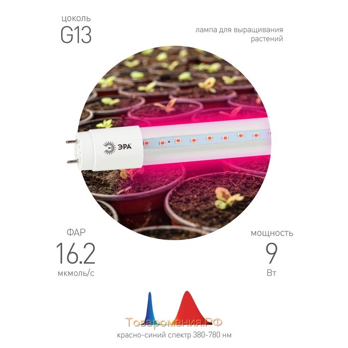 Фитолампа светодиодная, 9 Вт, T8, 600 мм, цоколь G13, IP20, сине-красный спектр, фиолетовая, «ЭРА»