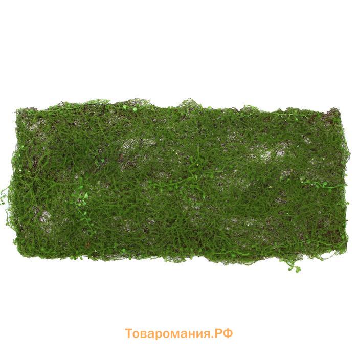 Декоративная панель, 90 × 40 см, «Мох», Greengo