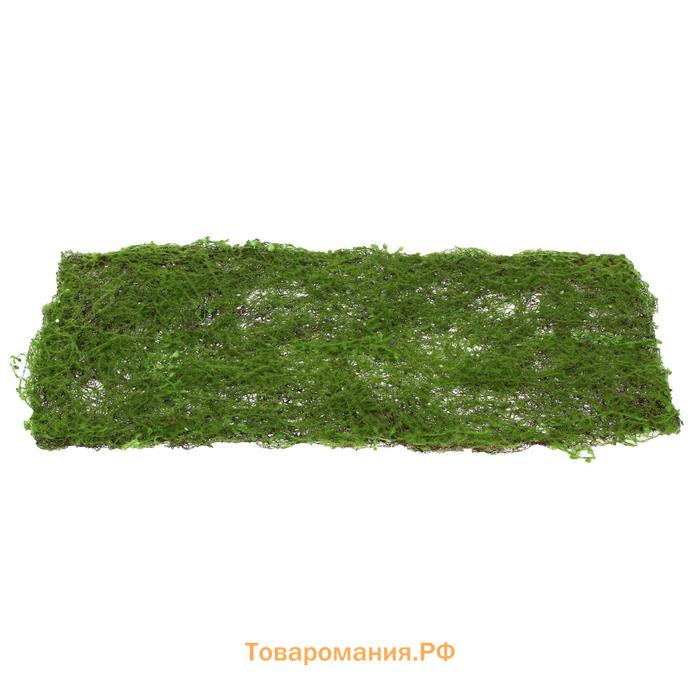 Декоративная панель, 90 × 40 см, «Мох», Greengo