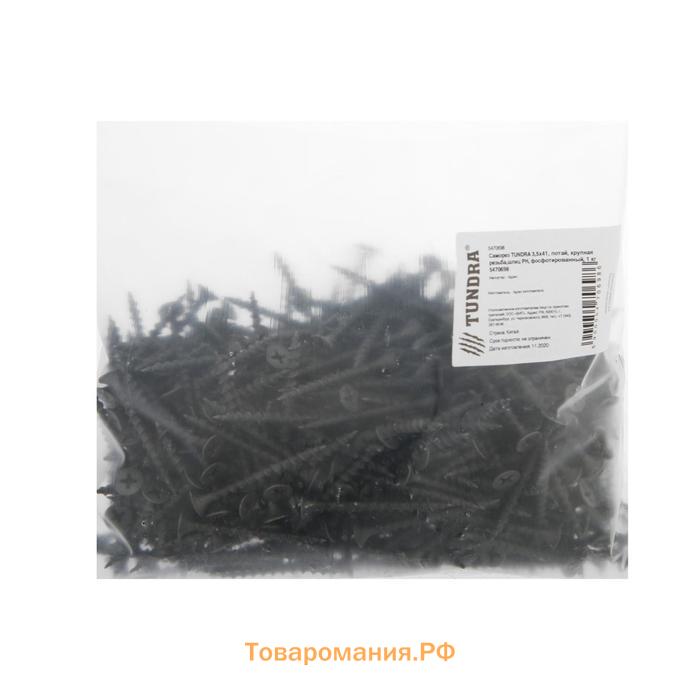 Саморез 3.5×41 мм ТУНДРА PREMIUM, потай, крупная резьба, шлиц PH, фосфатированный, 1 кг