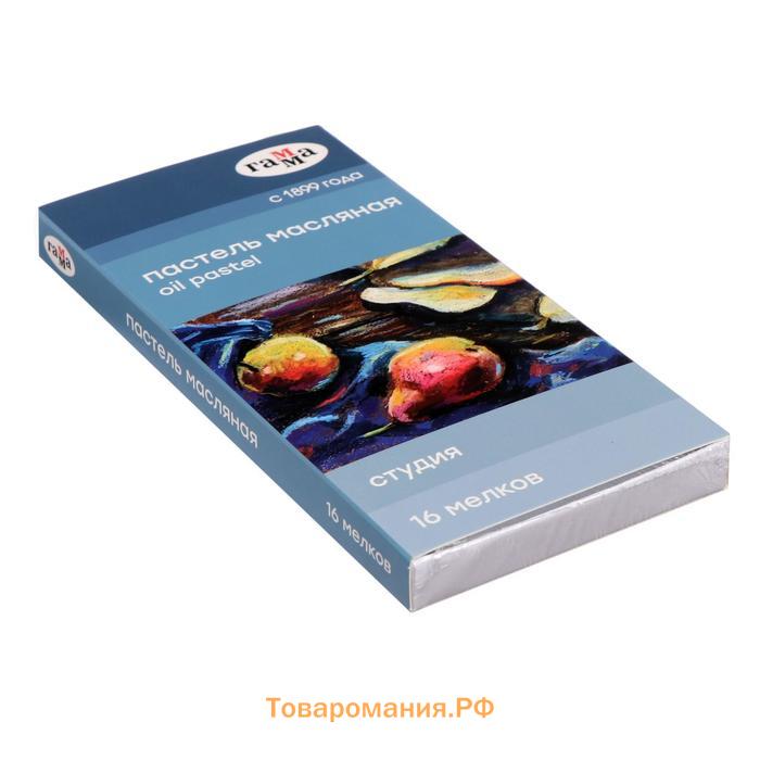 Пастель масляная, набор 16 цветов, Гамма "Студия", d-8мм, l-65мм, в картонной коробке