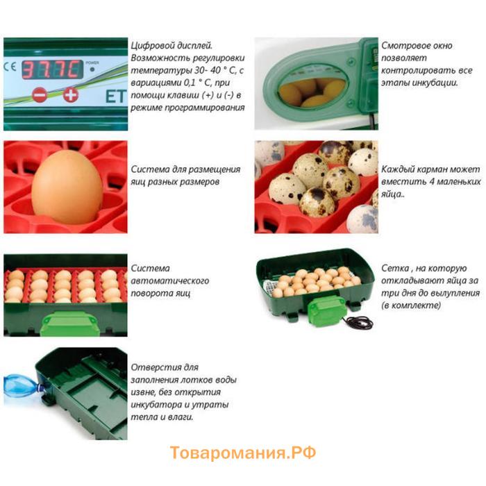 Инкубатор, на 12 яиц, автоматический переворот, 120 В