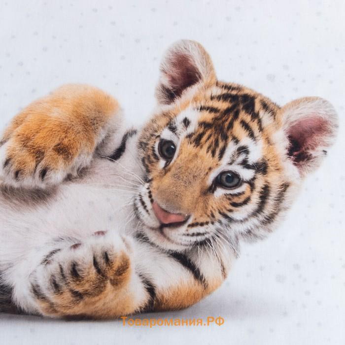 Постельное бельё  1,5 сп "Little tiger" 143х215 см, 150х214 см, 50х70 см -1 шт, 100% хл, бязь