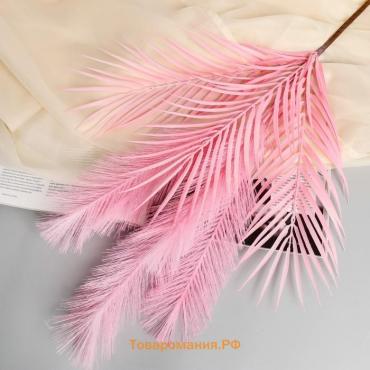Декор "Перо и пальма" 72 см, розовый