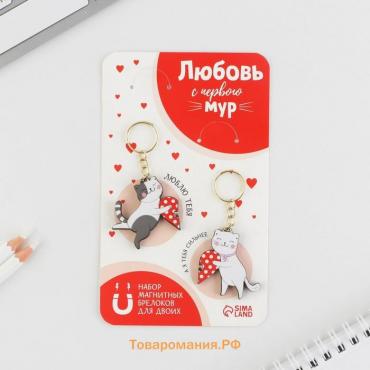 Брелок для ключей, парный на магните, 2 шт "Мур", 9 х 15 см