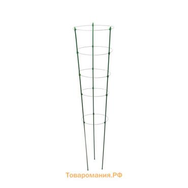 Кустодержатель, d = 32–30–28–26–24 см, h = 150 см, 5 колец, металл, зелёный, Greengo
